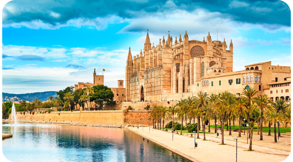 palma-2 palma-2